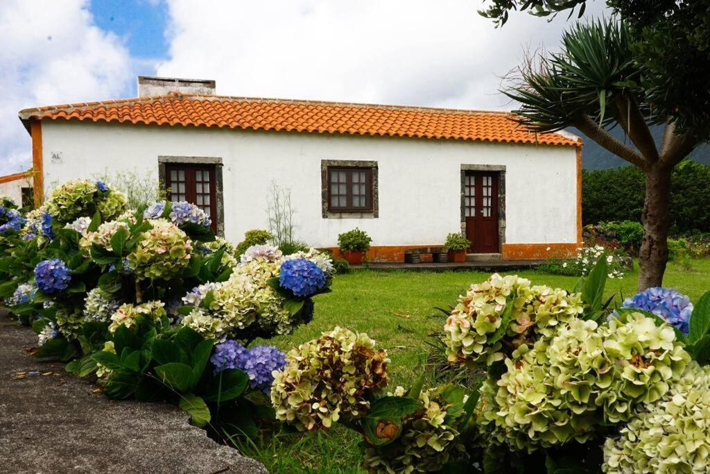 Вилла Casa Via D'Agua In Faja Grande Экстерьер фото